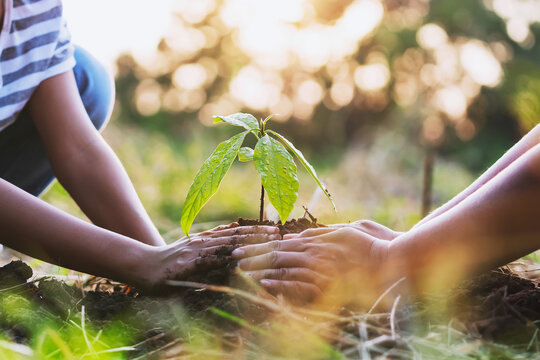 Environmental awareness and sustainable communities
